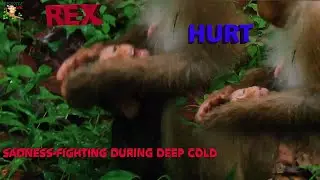MILLION SAD BABY REX DEEP HURT DID WRONG BY MOM ROSE FIGHT & FIGHT NEARLY BROKEN NECK |
