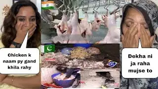 Indian chicken Factory Cleanliness 🇮🇳 Vs Pakistani Chicken Factory Cleanliness 🇵🇰 ||Pakistani React