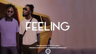 FREE Afro Pop | Afrobeat Instrumental 2019 