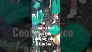 Girl scout of the Philippines