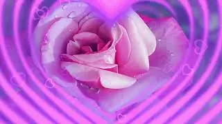 ❇️ Видео Открытка Video Gr&uuml;&szlig; ●#Post_for_My #friedenstaube #dove_of_peace● #голубь_мира ●Послание