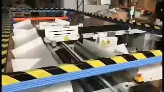 Static DWS dimensions, weight and sorting with sorting system for express parcel