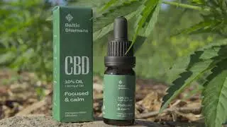 10% CBD Oil Stay Focus And Calm