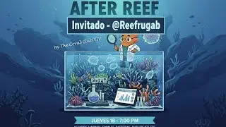 Directo Abierto con miembros del grupo THE CORAL CLUB VIP