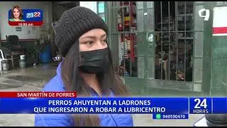 SMP: perros ahuyentan a ladrones y evitan robo en el negocio de sus dueños