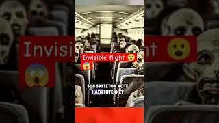 San Diego 513 invisible flight mystery 😮😱 | does this is true ?