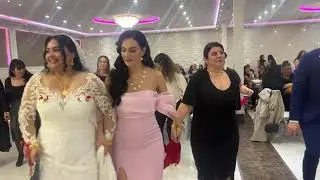 Grup Derman - Halaylar / Den Haag / 2024 / Elbistan & Adana Düğün