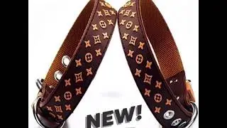 Frenchies Goodies Online Pet Store - Fashion Dog Collars Collection