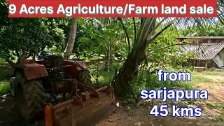 9 Acre Agri/Farm land sale near krishnagiri from Bangalore sarjapura 45 kms.