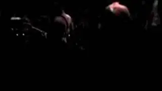 What Feeds The Fire- Posi Numbers - letting go / live or die