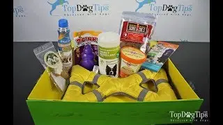 May 2018 Pet Treater Dog Subscription Box Unboxing