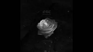 Lil Tracy & Cold Hart - She Fell Asleep (prod. Fleance)