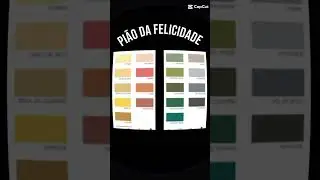 Piao das cores 5 divis&otilde;es