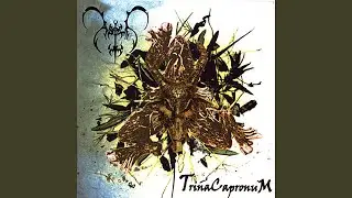 TrinaCapronuM