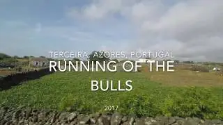 Running of the Bulls - Terceira 2017
