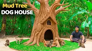 Mud Tree Dog House Construction Puppies Explore Their New Home