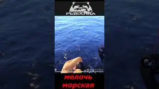 #shorts  #🎮мелочь морская🎮# Russian Fishing 4#