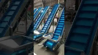 PU Belt Conveyors in Cheese Cube / Coffee Cups / Chopped Fruit Packaging Line#beltconveyor#conveyors