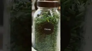 Fresh Chives All Year:                Simple Freezing Method   #herbs #preservingfood #stockingup