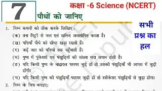 कक्षा - 6 विज्ञान NCERT अध्याय-7 (पौधों को जानिए) Solution in hindi || Class-6 SCIENCE Chapter-7