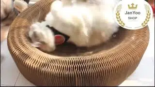 Cat Scratcher Cardboard