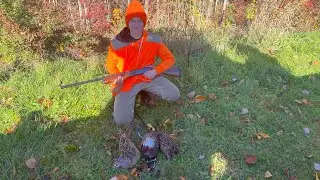 First pheasant on the channel 