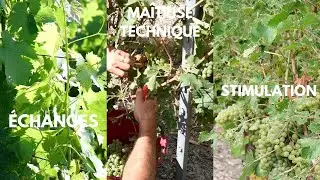 [10 ans groupe Dephy Saumur] Apporter de la r&eacute;assurance par le collectif