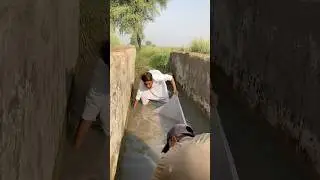 Canal Full of Fish | Net Fishing Master Move #fishing #fish #shorts