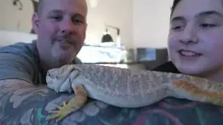 Is your Bearded Dragon constipated? Try This!