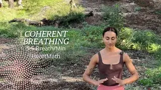 Coherent Breathing Practice | 5.5 Breaths Per Minute Technique | Heartmath 