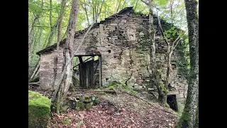 I metati di Rovinarasa a Fellicarolo