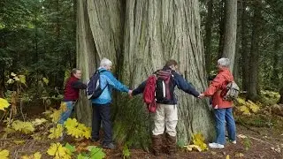Shuswap Trails -  About Us