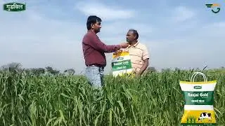 2-3 कटाई वाली जई #oats #agriculture #fodder #kisan #farmer