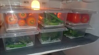 Best Storage Container for Fridge | Fridge Storage Container for Vegetables,Fruits, Fish,Meat