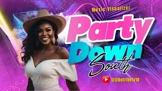 Party Down South Visualizer Video