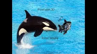 PIXEL GUN 3D- Killer whale review!
