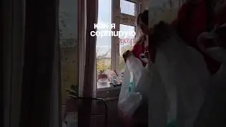 Как я пришла к тому, что начала сортировать мусор? #раздельныйсбор  #zerowaste  #сортировкамусора