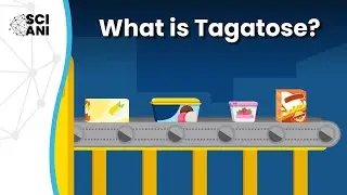 What is Tagatose? Uncovering the Sweet