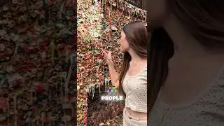 The Country That Banned Chewing Gum!