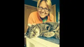 (Trailer) How You Can Save Street Cats  With  Stacy LeBaron TNR Specialist