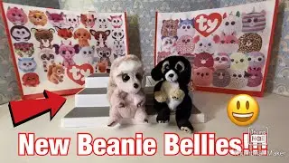 The Latest Additions to my Beanie Bellies Collection!!!
