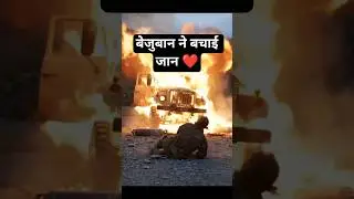 The brave calf saved the driver's life just before the cylinder exploded #army #cow