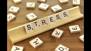 Dealing with Stress | Mufti Menk | Wisdom In Islam