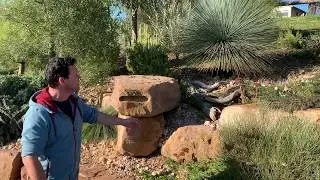 Phillip Johnson shares his plantspiration Plant Story, BGANZ #plantchallenge