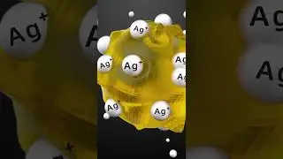 IPS&reg; KalyxX&reg; Active &ndash; Advanced Protection Against Limescale & Bacteria | Water Activation Technology