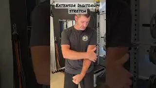 Extensor Digitorum Stretch