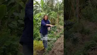 Geoff's Top Three Garden Priorities #permaculture
