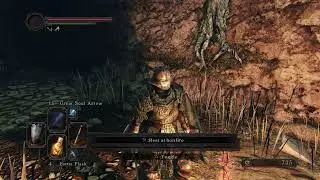 Spectral Vs Dark Souls II PS4 (Part 5) Drop The Bass