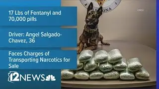Traffic stop leads to CSCO seizing 17 pounds of fentanyl, 70,000 pills, authorities say