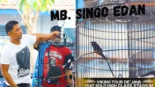 SINGO EDAN Milik Om Andri Bolang Top Perform di Gelaran VIKING TOUR DE'JAVA FEAT SOLO HIGH CLASS